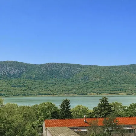 Nevistic View טריבאלי